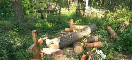 Спиливание дерева на кладбище